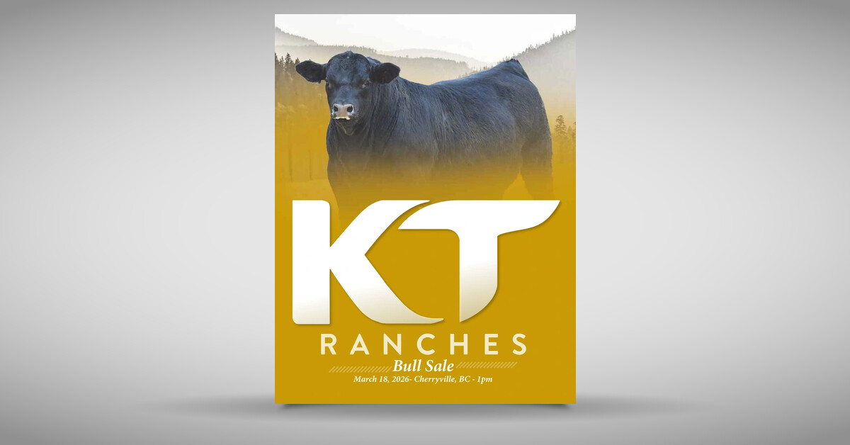 KT Ranches 7th Annual Bull Sale 2026