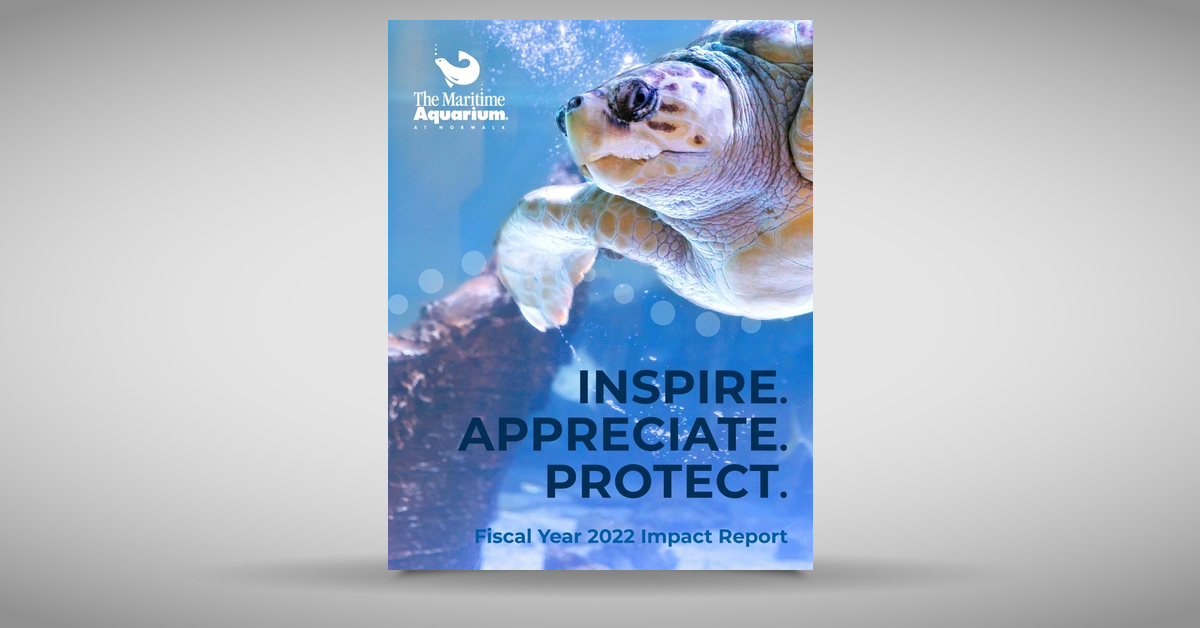 The maritime aquarium 2022 annual report