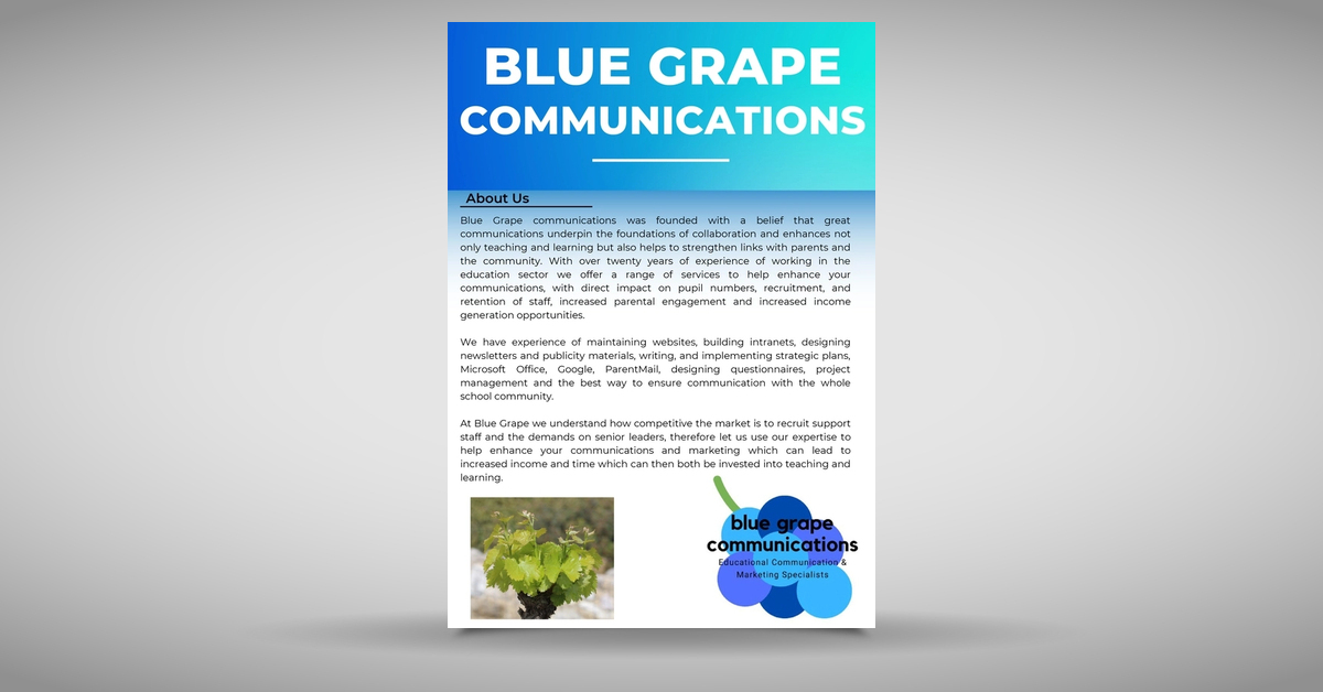 Blue Grape Communications Company Brochure