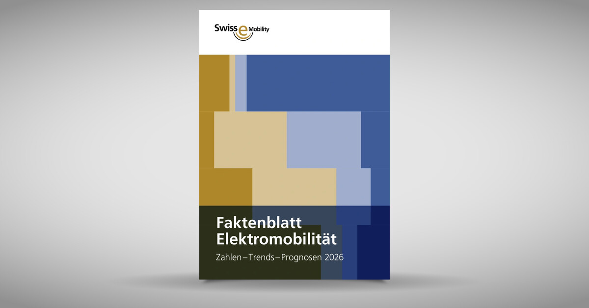 Faktenblatt Elektromobilität